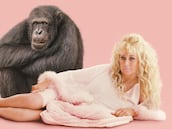 Si te interesa ‘Primate’, esta serie de HBO de los creadores de ‘Tiger King’ tiene chimpancés asesinos y una protagonista de lo más extravagante