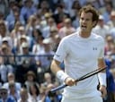 Murray vence a Verdasco y Feliciano cae ante Isner