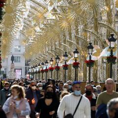 Un prestigioso virólogo explica cómo llegará el fin de la pandemia