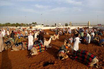 Este festival en Dubai, promueve el deporte tradicional de las carreras de camellos en la región.