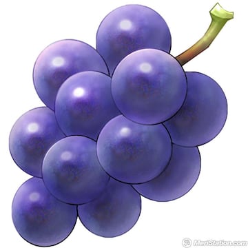 Captura de pantalla - kidicarusuprising_itm_grapes.jpg