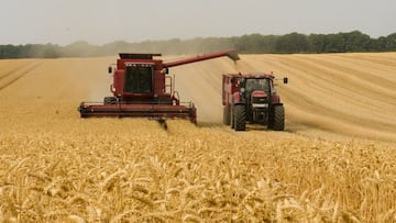 Italia advierte de lo que está por venir