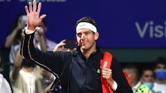 Juan Martín Del Potro confirmó que no estará en Río de Janeiro