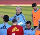 La Federación quiere darle dos años más a Vicente del Bosque