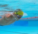 Natación en los Juegos Paralímpicos: categorías, modalidades, calendario, fechas y pruebas