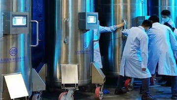 ‘Vivir’ después de la muerte: una empresa alemana ofrece una segunda oportunidad por menos de 200.000 euros