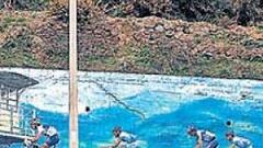 Valverde y Contador frente a una legión de extranjeros