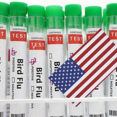 Experts warn about the new H5N9 bird flu affecting California: How is it different from H5N1?