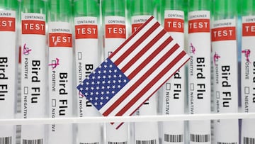 First outbreak of H5N9 bird flu in US poultry