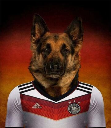 Así serían las selecciones de un Mundial canino