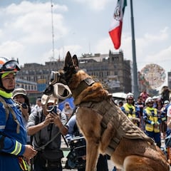 Segundo Simulacro Nacional 2025: fecha, hora, magnitud hipotética y todo lo que tienes que conocer
