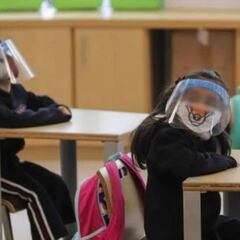 Regreso a las clases presenciales: en qué fecha dará comienzo y bajo qué medidas