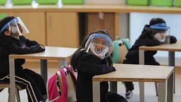 Regreso a las clases presenciales: en qué fecha dará comienzo y bajo qué medidas