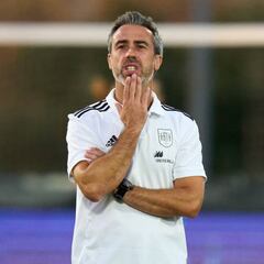 “Vilda dimisión”