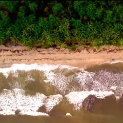 Último eliminado de ‘La isla de los famosos’: quién fue y cuándo es el próximo programa