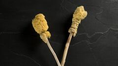 Así era el antepasado del papel higiénico con el que los romanos revolucionaron la higiene personal