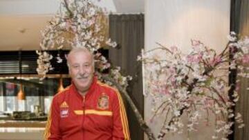 Del Bosque: "No veo ningún problema para llamar a Casillas"