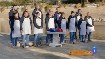 Imagen de los 15 aspirantes de &#039;Masterchef 9&#039;.