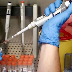 Detectan un nuevo virus letal en Bolivia: ya hay muertos