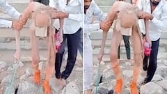 110-year-old man found in Indian cave in astonishing condition breaks the Internet