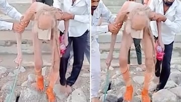 110-year-old man found in Indian cave in astonishing condition breaks the Internet