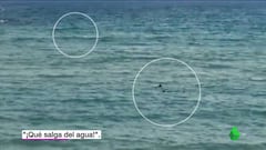 De película de terror: tiburones en práctica de un paralímpico