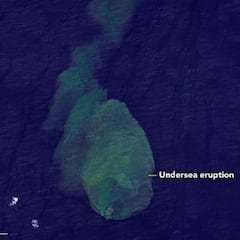¿Qué es 'Sharkcano'? La NASA capta la erupción del volcán submarino donde viven tiburones