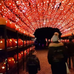 Halloween 2021: fechas, cuándo es y qué día se celebra