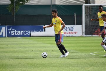 La Selección Colombia jugó un amistoso a puerta cerrada ante la Primavera del Genoa en Milanello, en el cual José Pékerman puso a prueba los esquemas y variantes que ha trabajado en los últimos días. James y Cristian Zapata, los ausentes. Otro que no tuvo acción fue José Fernando Cuadrado por decisión técnica.