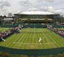 Wimbledon cambiará la hierba para los Juegos