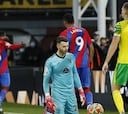 Resumen y goles del Crystal Palace vs. Norwich de Premier League
