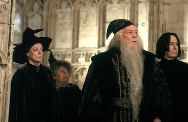 HBO confirms rumors, Harry Potter TV adaptation has found its teachers