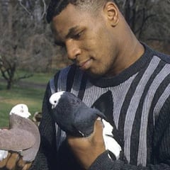 Tyson confiesa que abofeteó a un basurero por tirar a su paloma a la basura