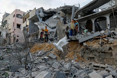 Una paloma vuela sobre los escombros de las casas destruidas de Khan Younis, en el sur de la Franja de Gaza.