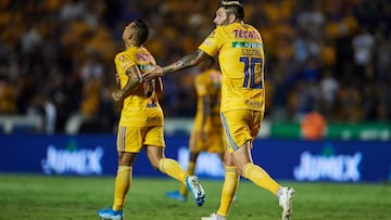 Tigres - Puebla, cómo y dónde ver; horario y TV online
