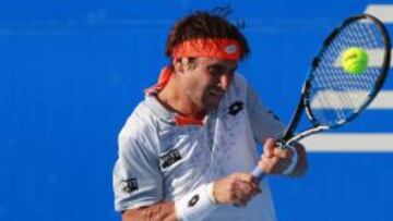 David Ferrer en el Abierto de Acapulco.