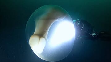 La extraña burbuja con la que toparon unos buceadores llena de criaturas raras