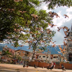 Los municipios más pequeños de Antioquia: las joyas ocultas a pocos pasos de Medellín