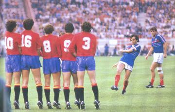 España alcanzó la final de la Eurocopa de Francia 1984 donde fue derrotada por los anfitriones (2-0), pero dejando en la cuneta a selecciones como Alemania, Portugal y Dinamarca. Un error de Arconada (se le escurrió el balón por debajo de su cuerpo tras el lanzamiento de una falta de Platini) comenzó a desvanecer el sueño de recuperar el cetro europeo 20 años después de 1964.

