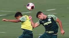 "Conozco todo de la UC": el 'arma secreta' de Palmeiras