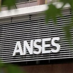Complemento SUAF de ANSES: qué cambios habrá en el pago en 2022 y cuándo comenzarán