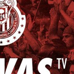 Profeco podría sancionar a Chivas TV hasta con 3.9 MDP