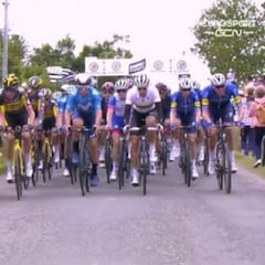 La espectadora que provocó la caída en el Tour se enfrenta a cuatro meses de prisión