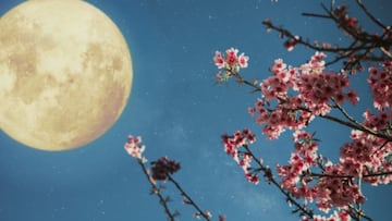 Luna llena de mayo 2024: a qu¨¦ hora es, d¨®nde y cu¨¢ndo ver la Luna Llena de Flores