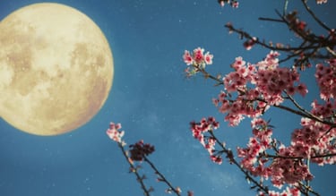 Eventos astronómicos de mayo 2024: fases lunares, lluvia de estrellas, conjunciones y Luna llena de Flores