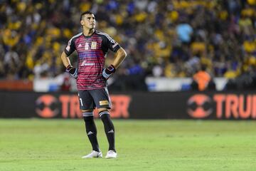 El posible 11 de Tigres para enfrentar a Toluca