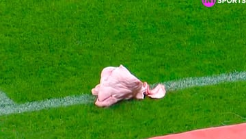 Arrojan una cabeza de cerdo en el Corinthians - Palmeiras