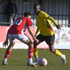 Yaser Asprilla, relegado en Watford