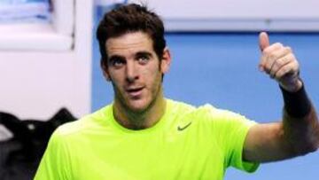 Del Potro, en semis al batir a Federer y deja fuera a Ferrer