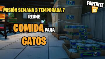 ¿Dónde encontrar comida para gatos en Fortnite Temporada 7?